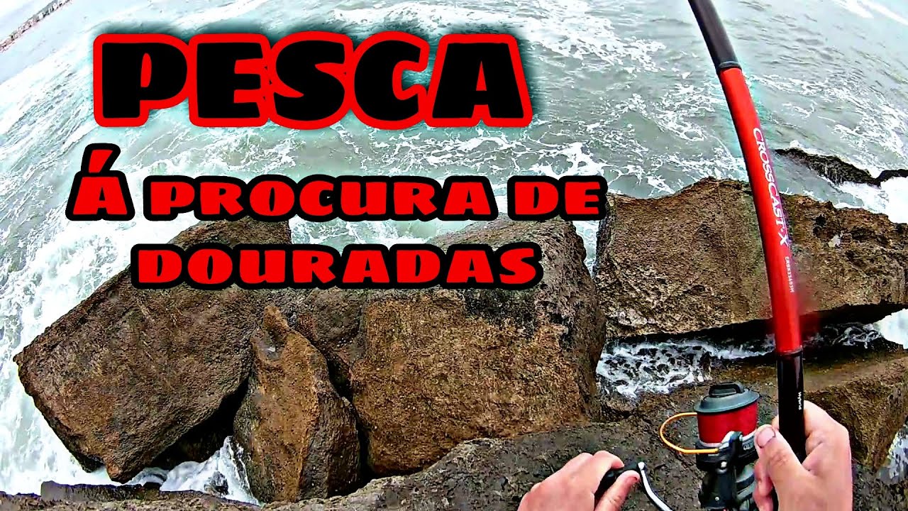 PESCA Á PROCURA DE DOURADAS