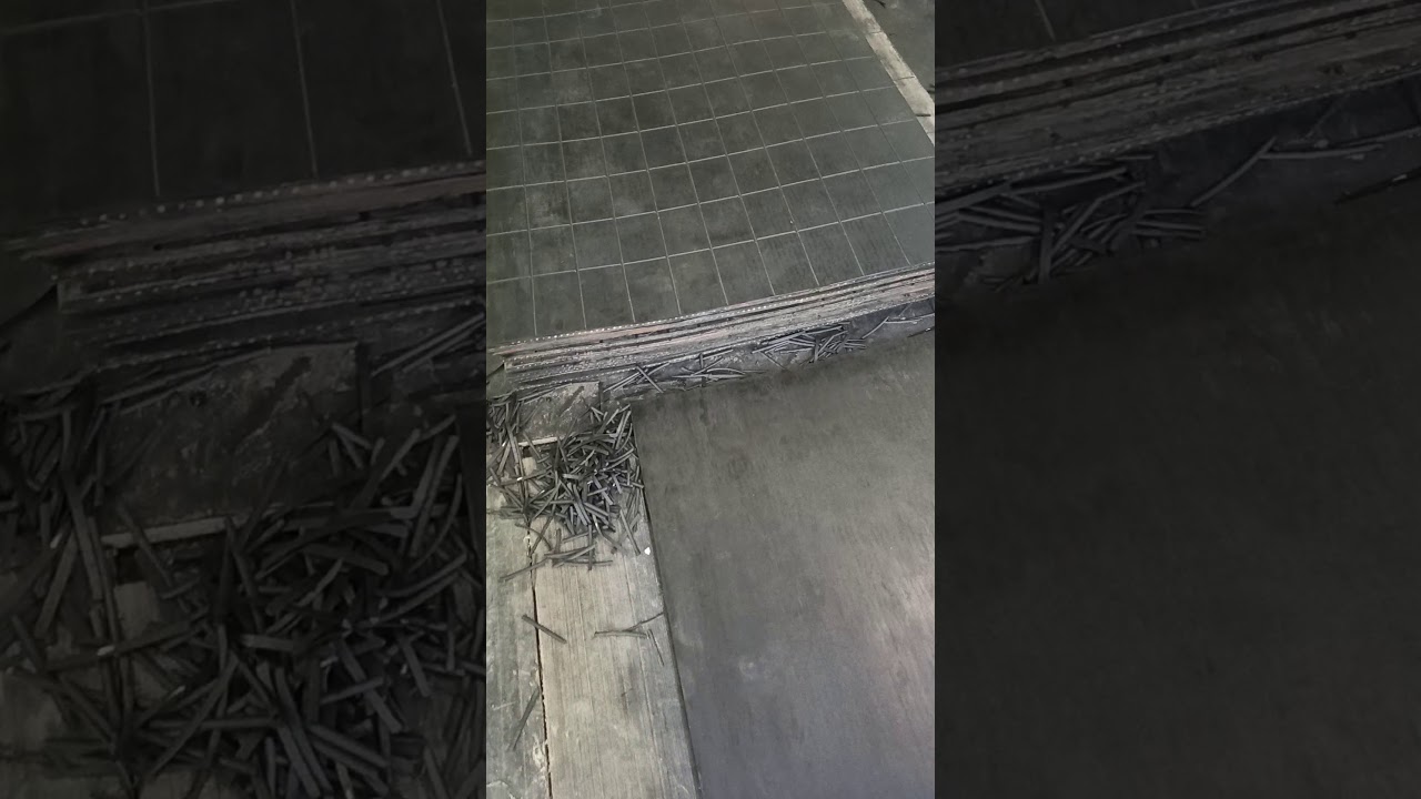 Karpet sapi terkuat di dunia