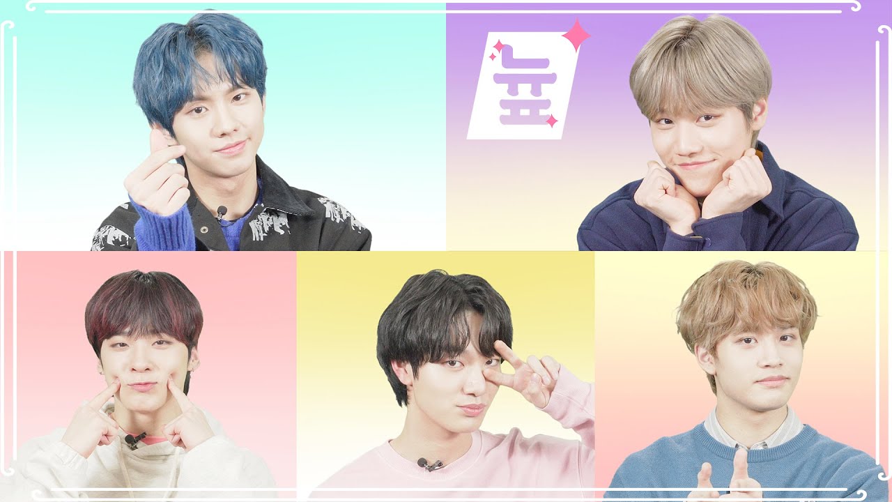 [늎:New Face] [4K] MCND 엠씨엔디 누구앤디 이렇게 잘난건디?! 🦊🦝🐻🐣🐰 [통통TV]