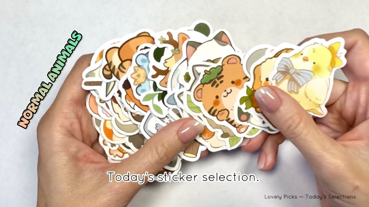 Sorting Cute Animal Stickers | Stationery | Satisfying Relaxing Video | Aesthetic ASMR 