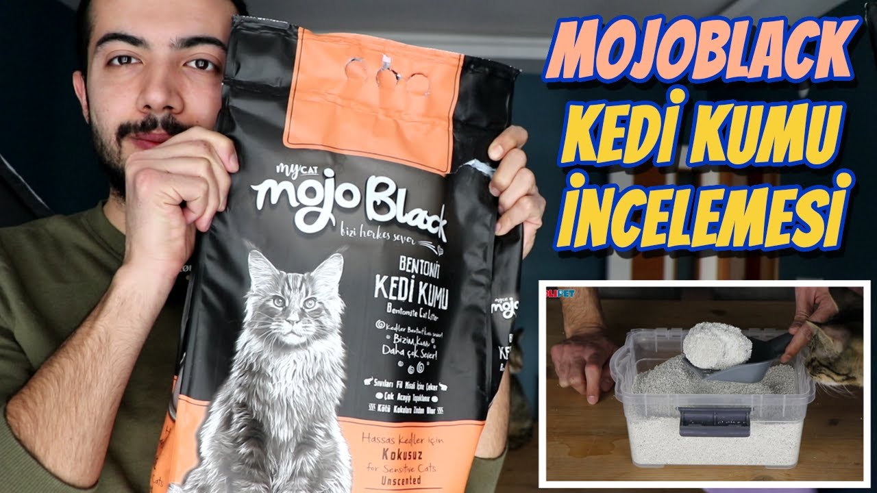 MYCAT MOJOBLACK KEDİ KUMU İNCELEMESİ 😺