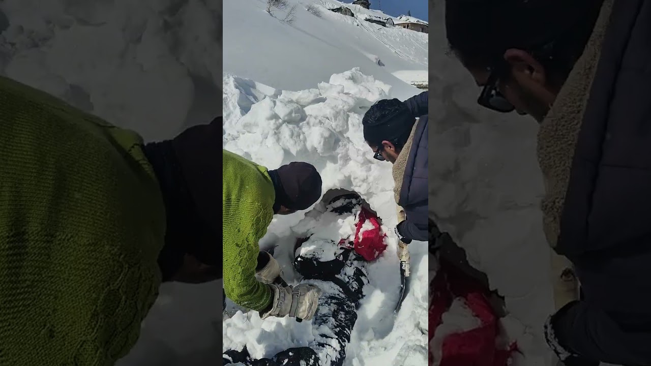 Back Pack Avalanche Rescue System
