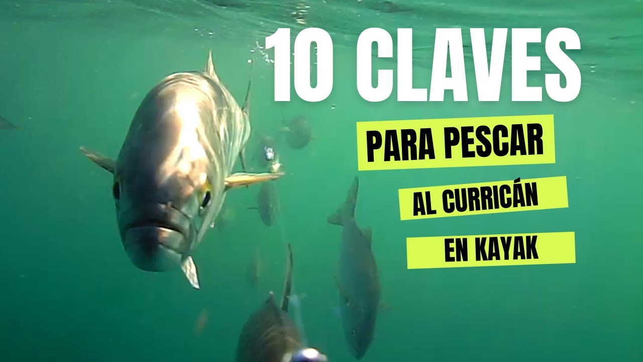 PESCA EN KAYAK 2019. DIEZ CLAVES PARA PESCAR AL CURRICÁN.-Cómo pescar al curricán en kayak.
