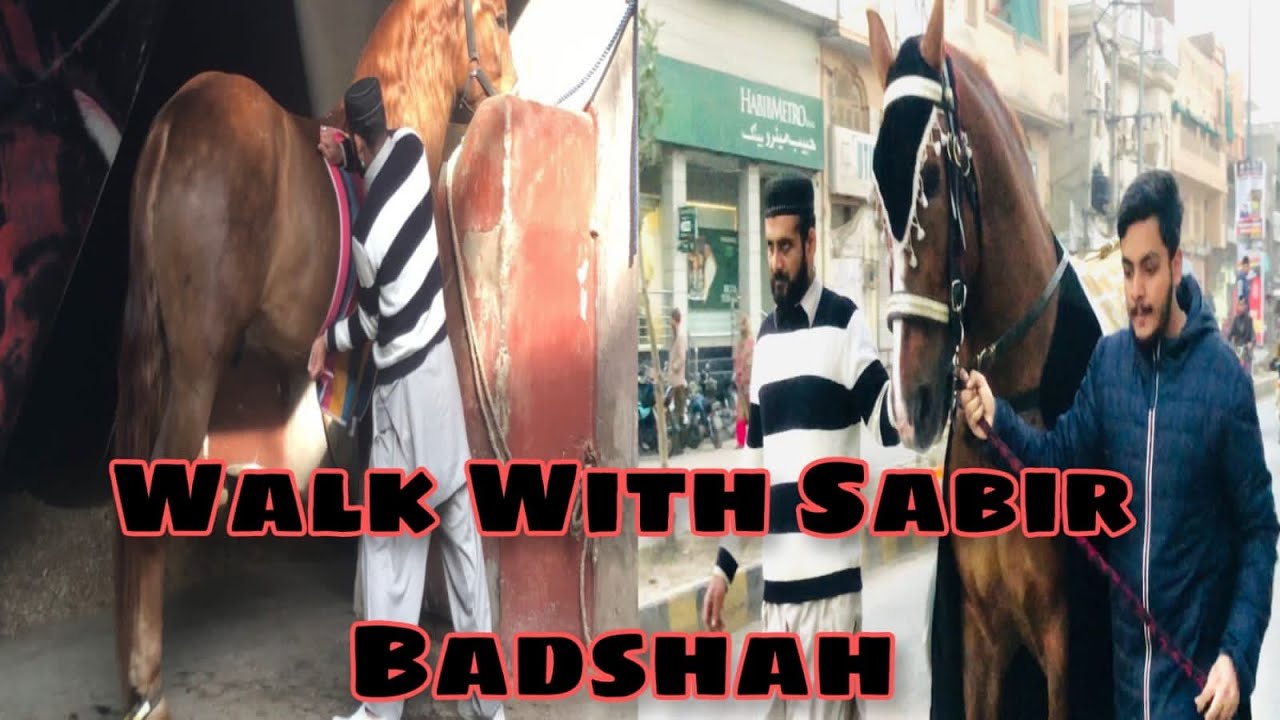 Markazi Zuljhna Sabir Badshah Sialkot🥰#mashallah  #beautiful #subscribe #channel #viralvideo