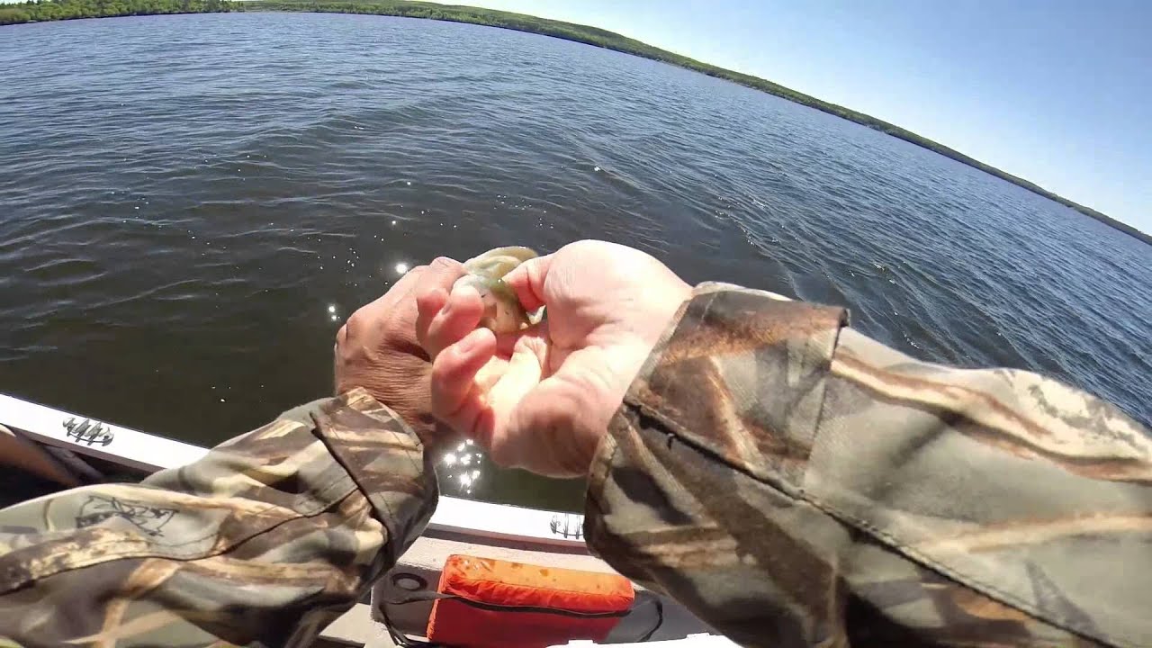 EH canada 2014