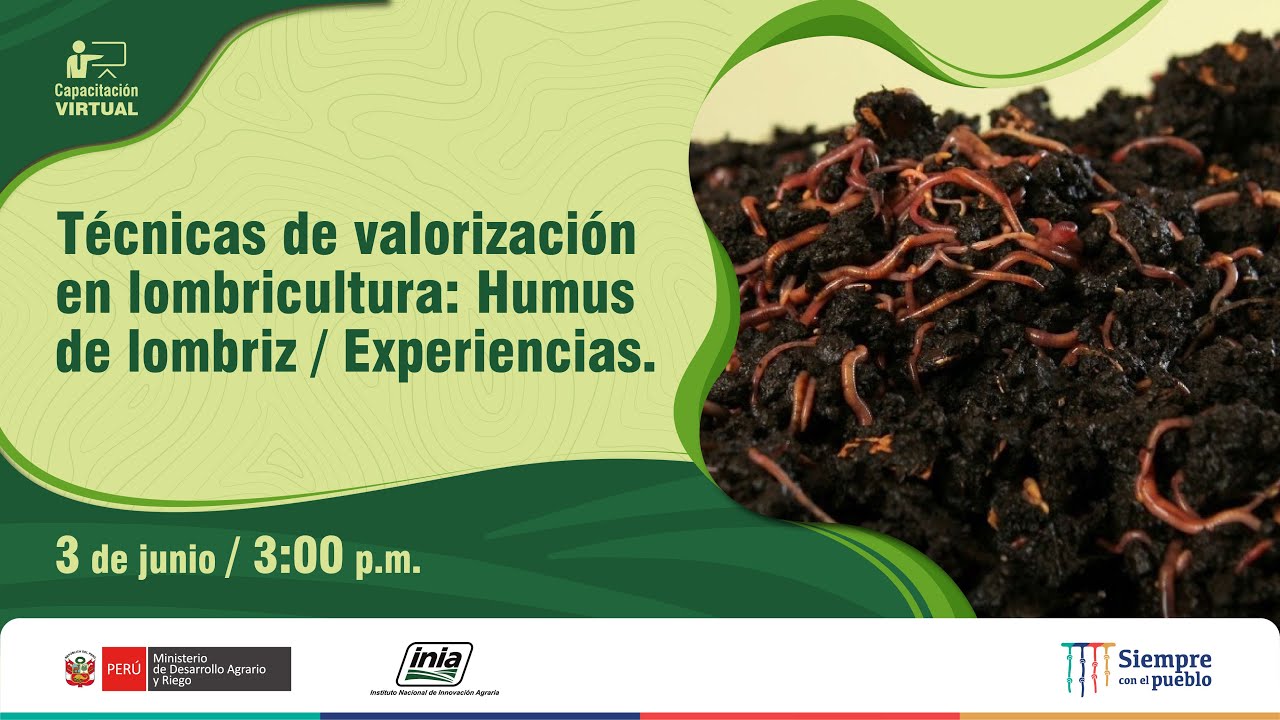 Técnicas de valorización en lombricultura: Humus de lombriz / Experiencias