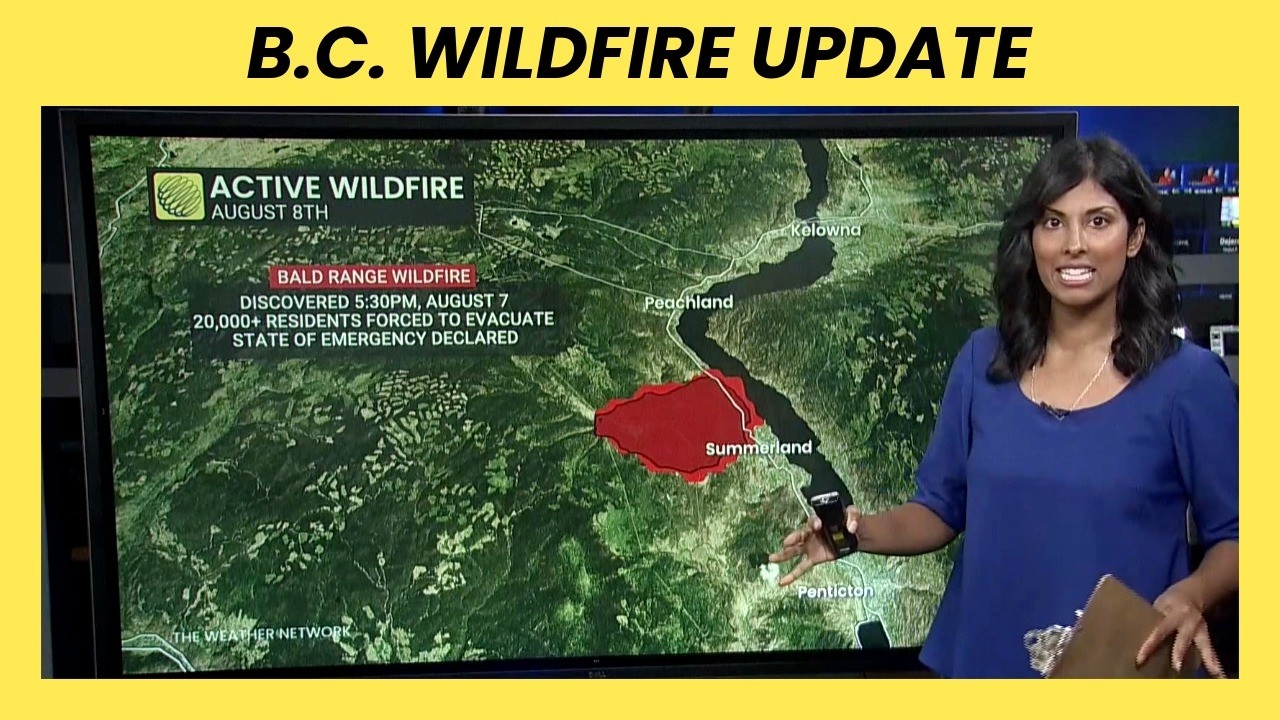 State of emergency issued for B.C. as wildfires continue to grow | #wildfire