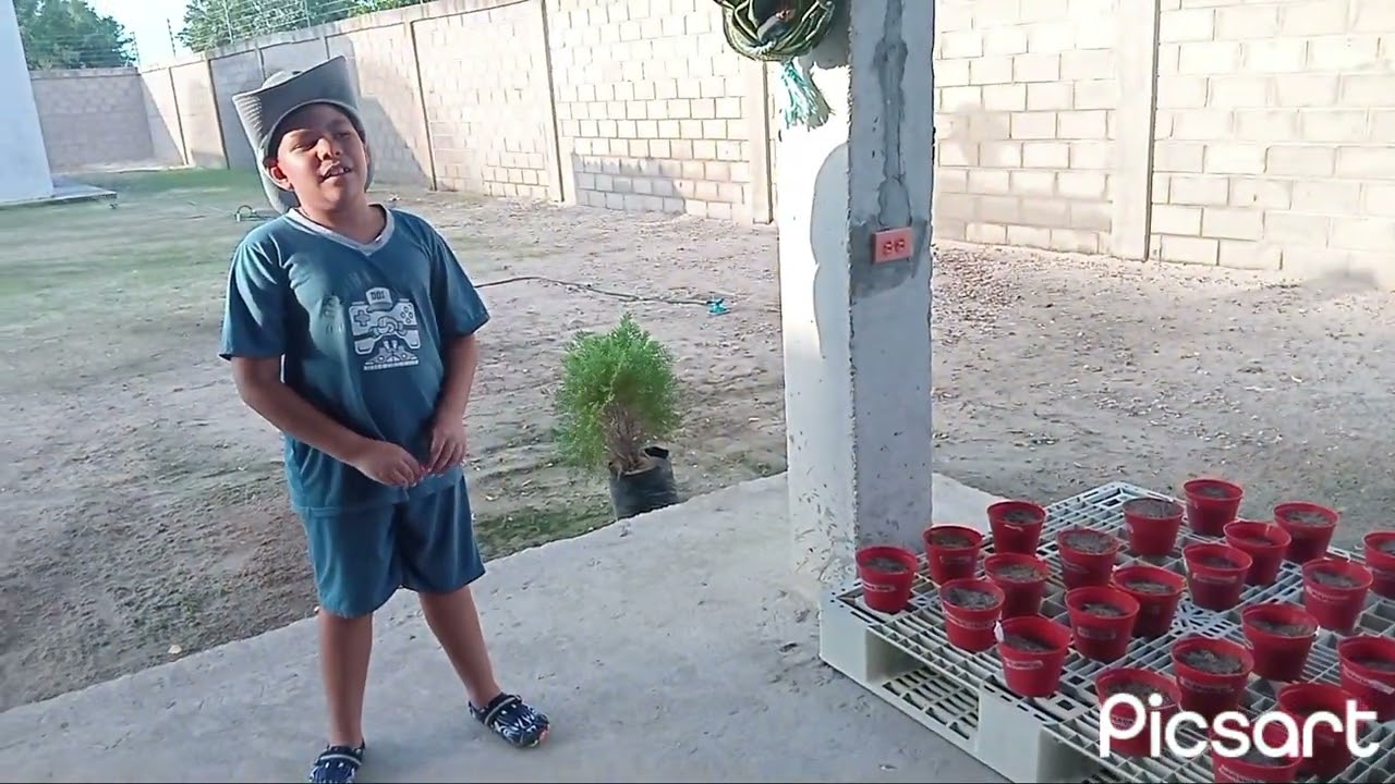 Avances de mi COSECHA/CULTIVO PRODUCTIVO