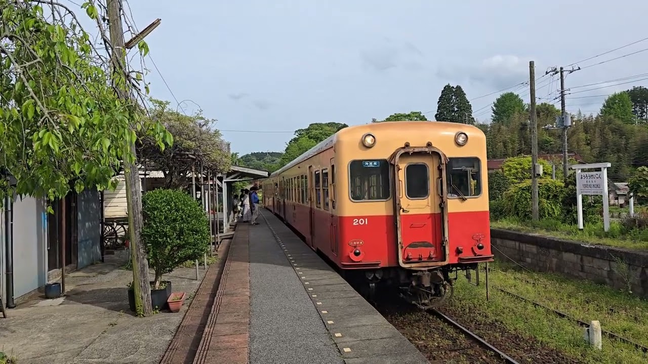 JAPON 2025-1 - 05.01 - Kominato Railway (4) - YOROKEIKOKU