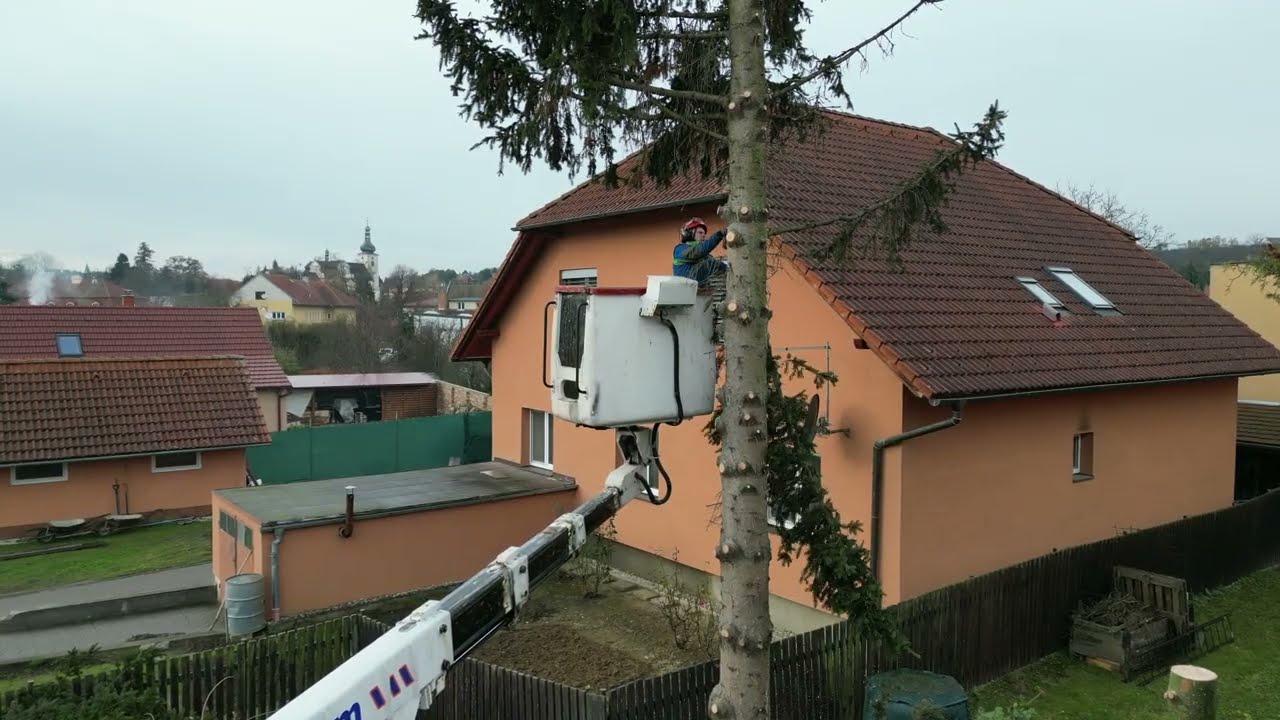 Kácení stromů v Uherském Hradišti 🌲Služby Macreal 🪵