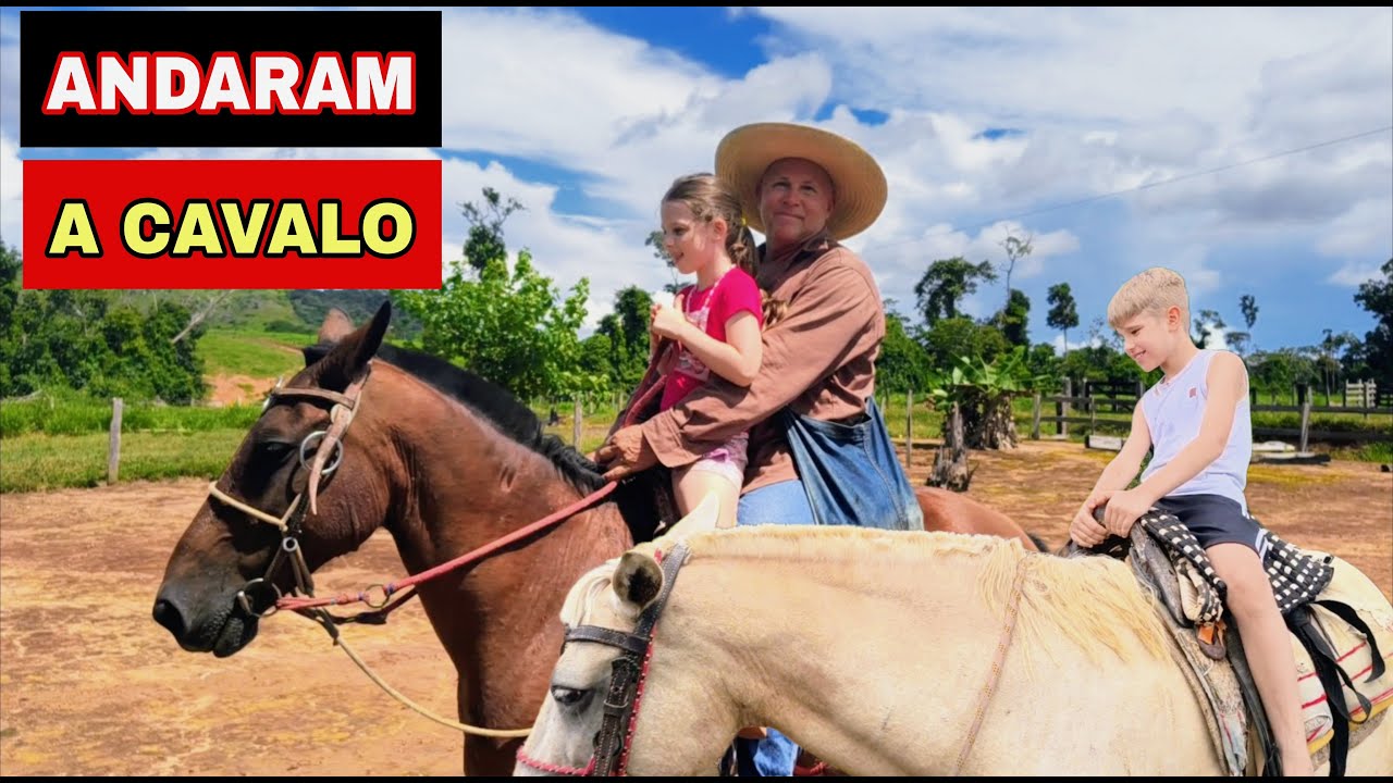 PASSAMOS O DIA NO SÍTIO/AS CRIANÇAS ANDARAM A CAVALO.