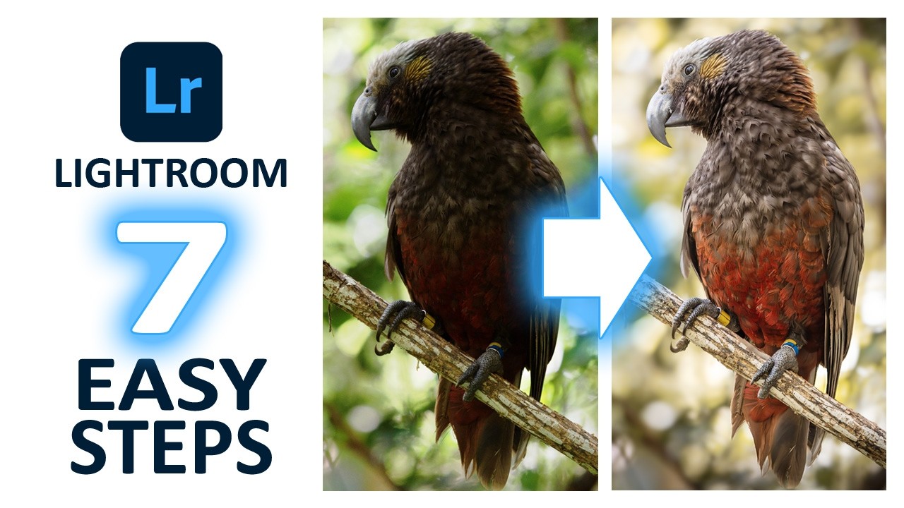 Lightroom Tutorial - How To EDIT 90% OF YOUR PHOTOS using just 7 STEPS