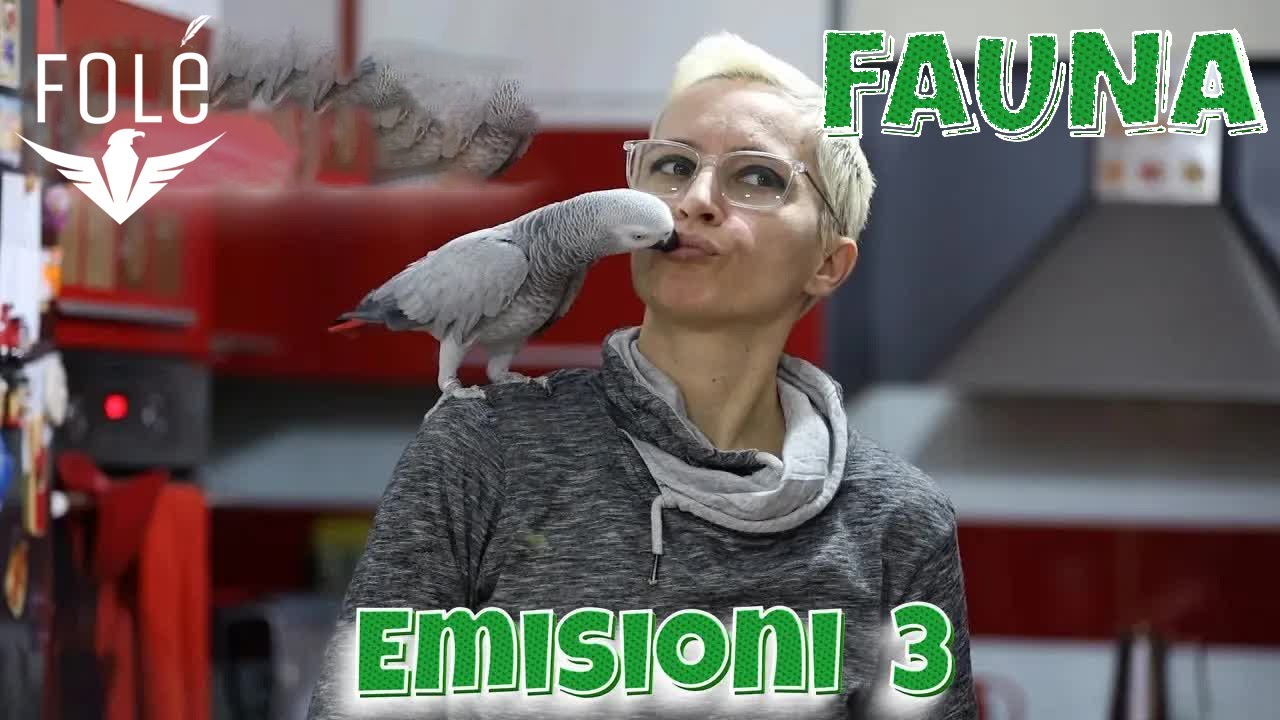 Fauna - Emisioni 3