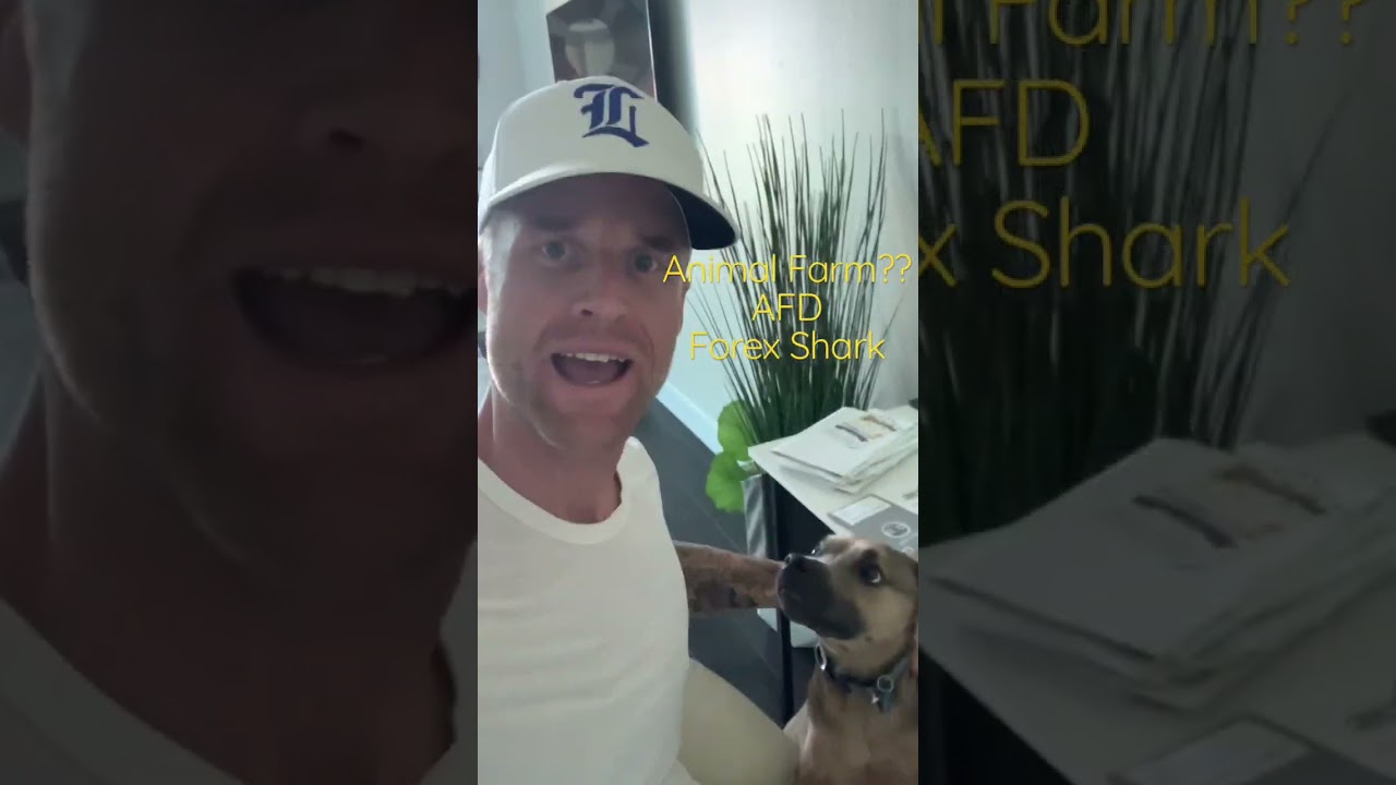 💧 Drip Network | Where are my dogs&hellip;? #drip #dripnetwork #animalfarm