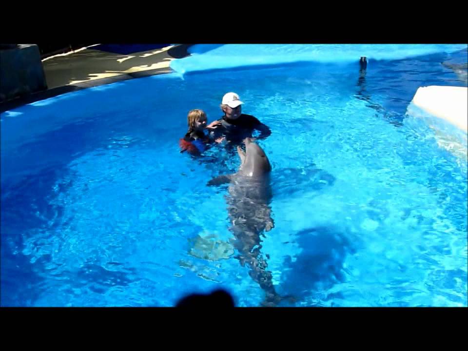 Heal the world - wie Delfine heilen: Delfintherapie für Adrien