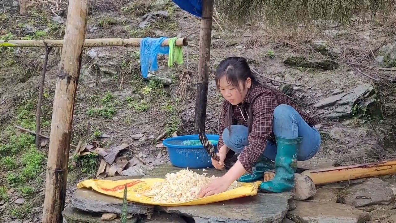 release big carp to lay eggshow to take care of fish in highland