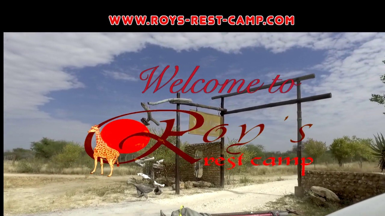 Roys camp combined