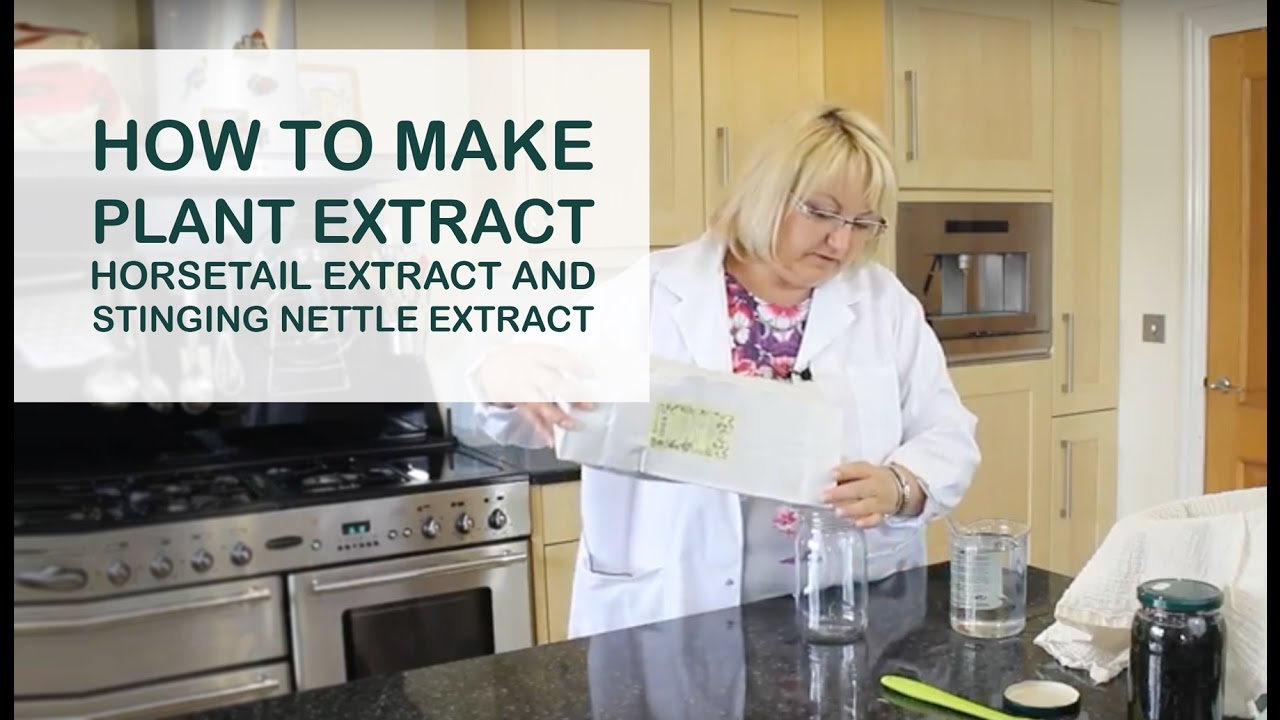 How to Make Plant Extract - Horsetail Extract and Stinging Nettle Extract