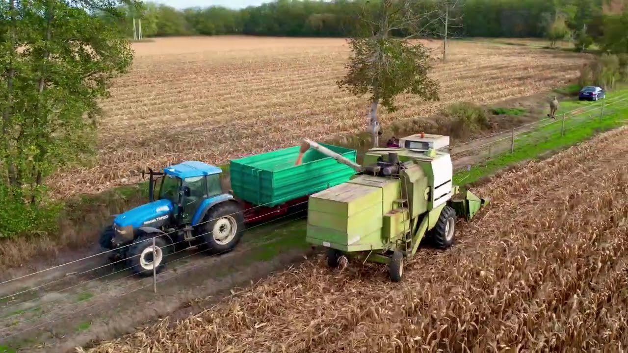 Kukorica aratás 2025 🌽 🚜 / Fortschritt E 514 / New Holland TM 150 / DJI Air 2s 🚁