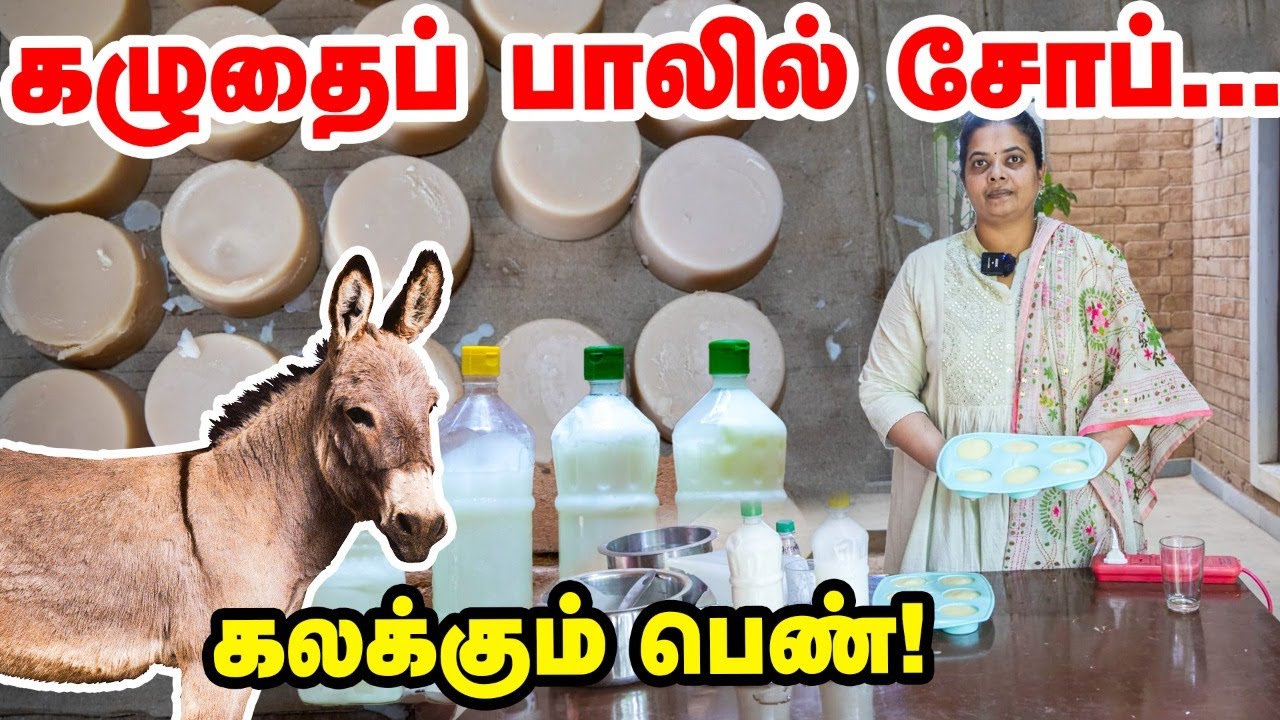 கழுதைப் பால் சோப் | ஒரு சோப் இவ்வளவு ரூபாய்க்கு விற்க முடியுமா? | கலக்கும் பெண் | PasumaiVikatan