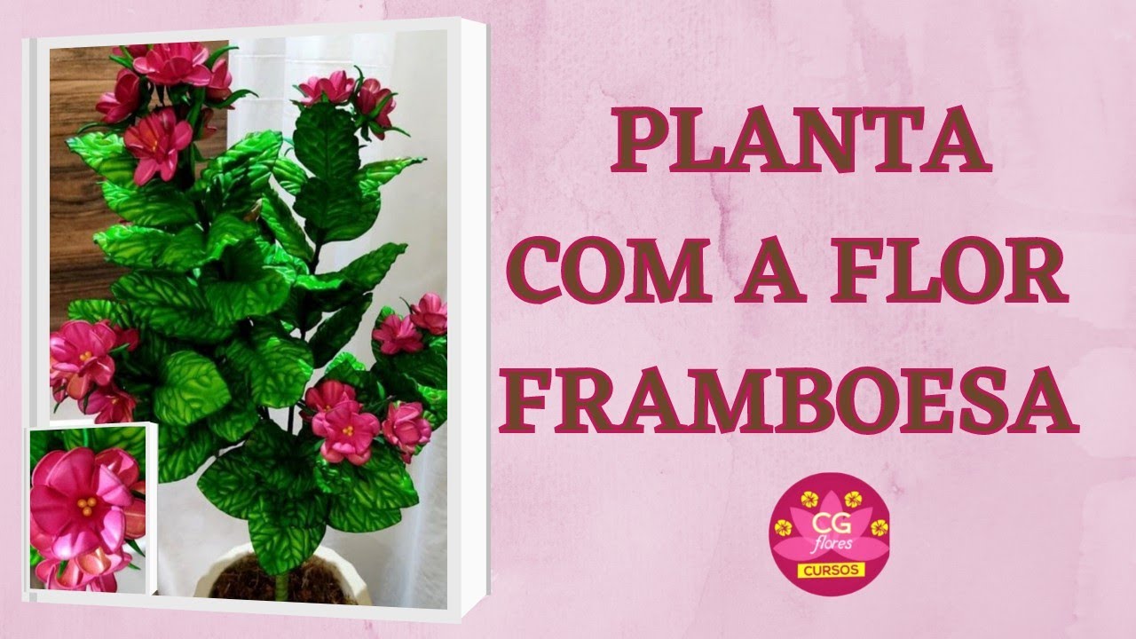 | PLANTA COM A FLOR FRAMBOESA 🌷