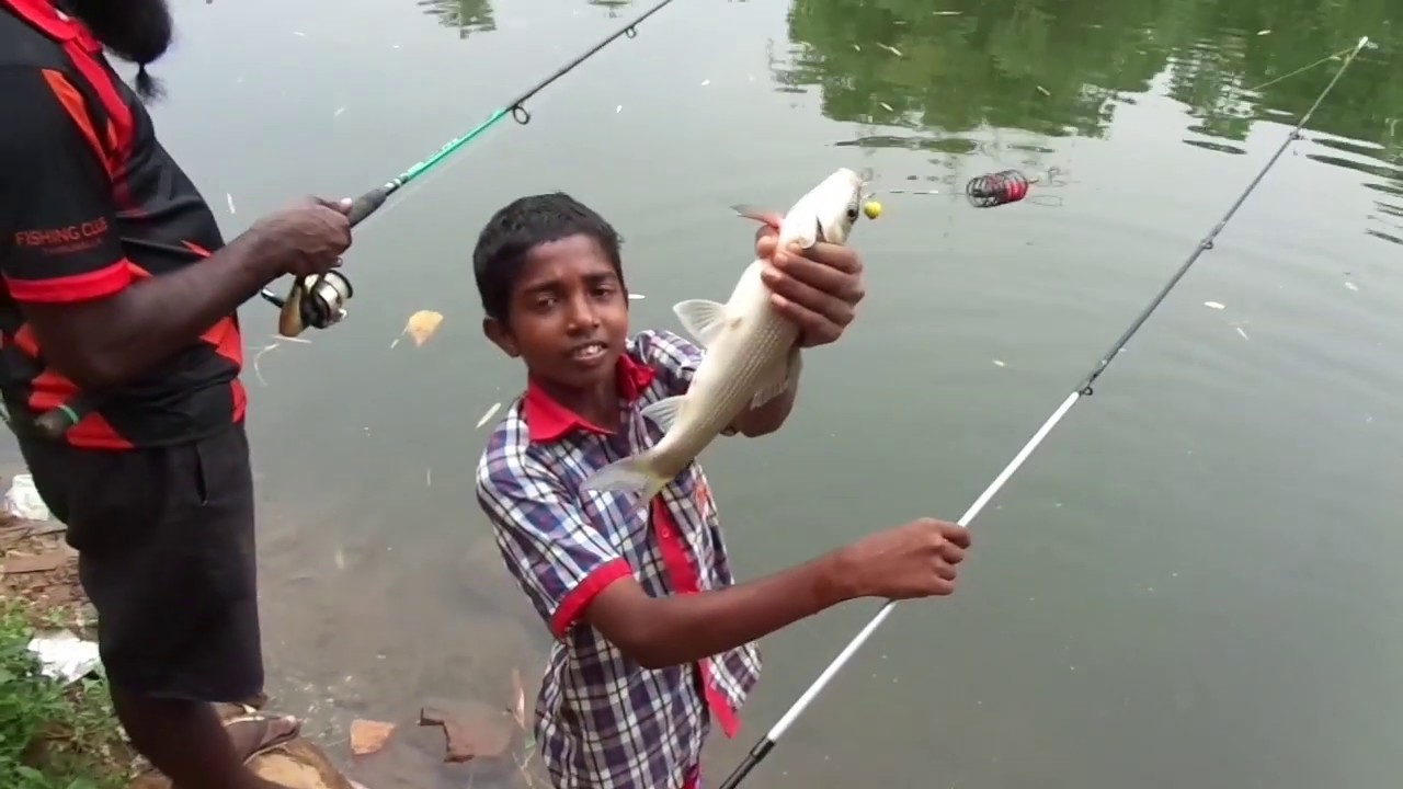 തൂളി മീൻ ചാകര ( amazing fishing with an 8th standard boy from thiruvalla)