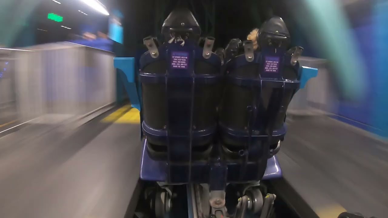 Electric Eel Back Row Night HD POV SeaWorld San Diego