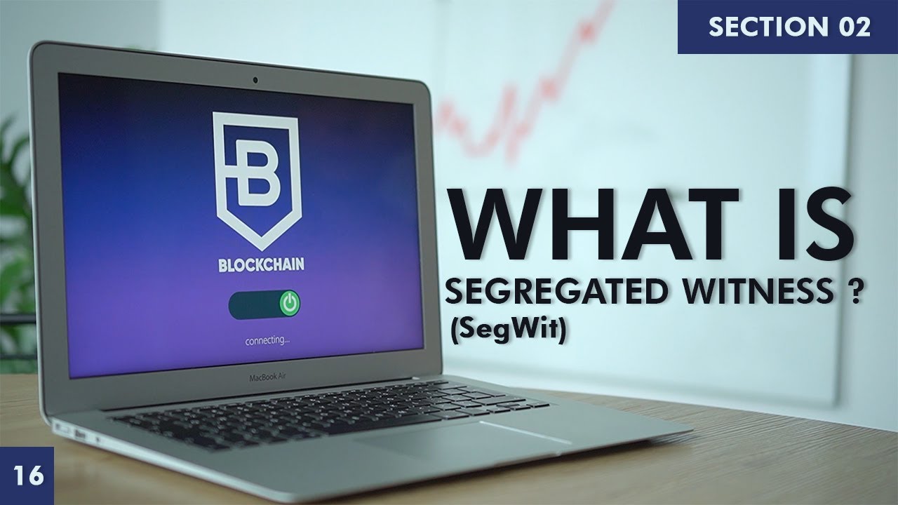 Что такое Segregated Witness? | Изучаем блокчейн | Раздел 2 | Часть 16