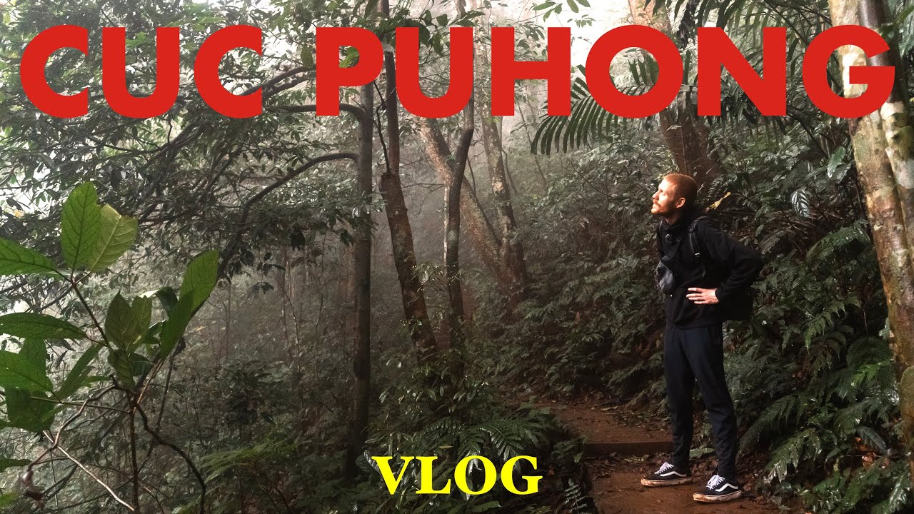 Im DSCHUNGEL des ÄLTESTEN Nationalpark Vietnams - Vlog 5 (Cuc Phuong)