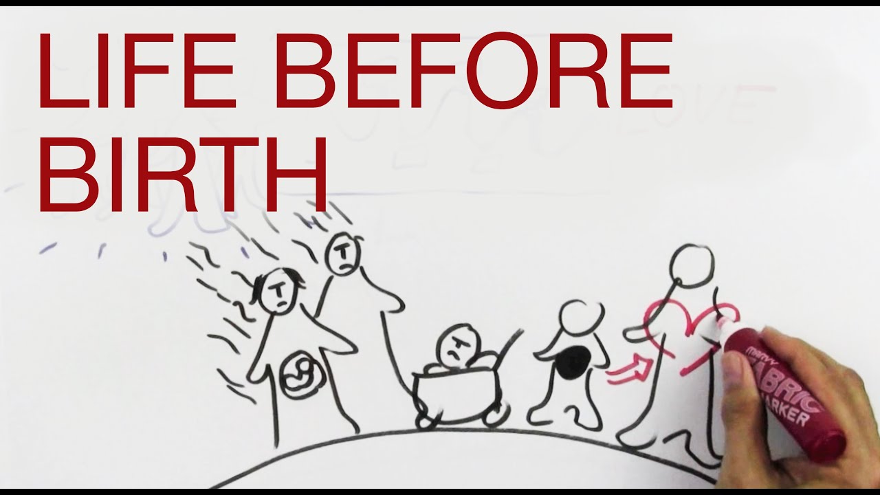 LIFE BEFORE BIRTH explained by Hans Wilhelm