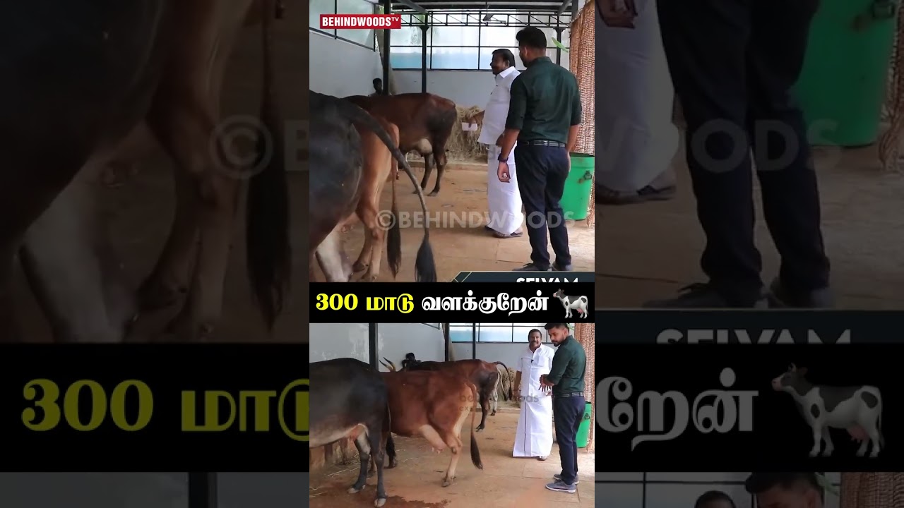 '🐄 300 மாடு வளக்குறேன் தம்பி..' 😲👌🏻 KN Nehru Home Tour | Throwback