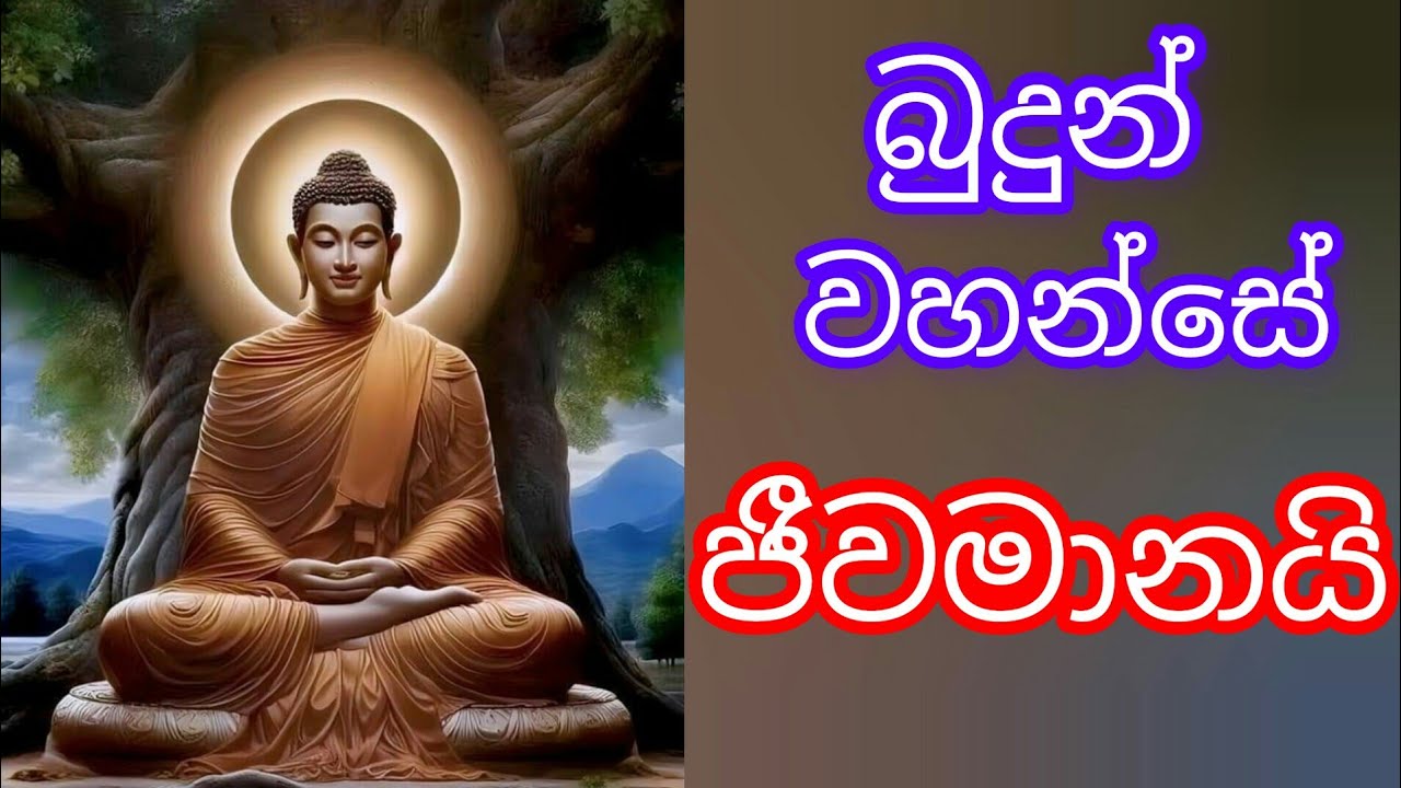 බුදුරජාණන් වහන්සේ ජීවමානයි. ඔබත් දැක ගන්න කැමතිද?