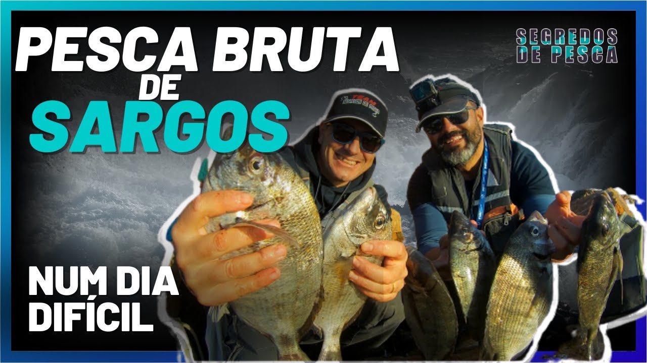 Pesca aos Sargos a grande aventura!