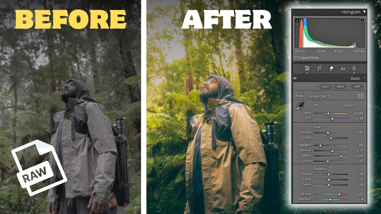 RAW ഫോട്ടോ എഡിറ്റിംഗ് പഠിക്കാം : 6 steps to edit Raw photos in LIGHTROOM