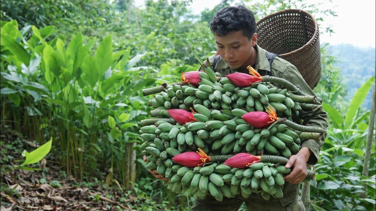 No Supermarkets, No Restaurants – CEO Harvests Wild Bananas, Catches Fish, and Cooks Them