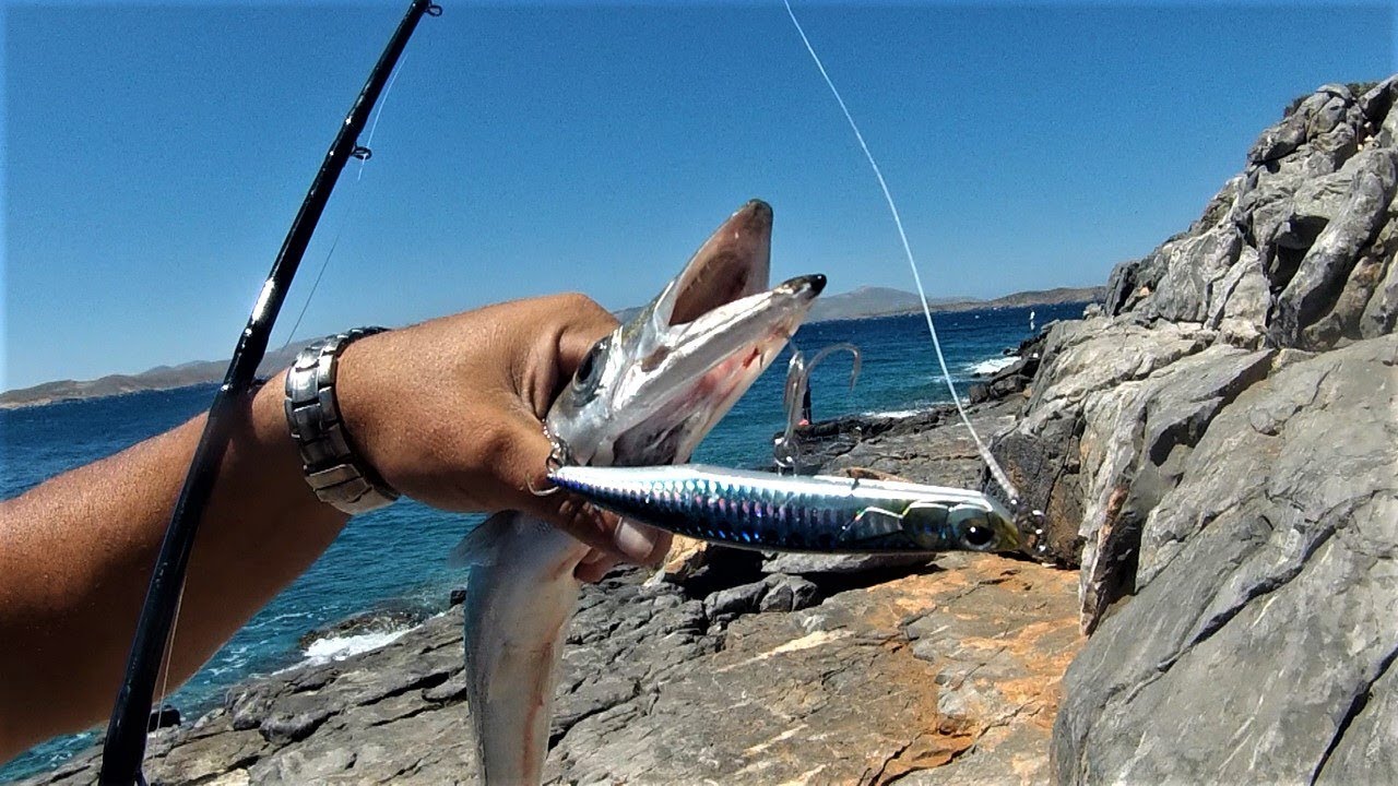 HS: Barracudas on the rocks with Duo Malice 130 and ZENAQ Muthos Sonio 100M RG.