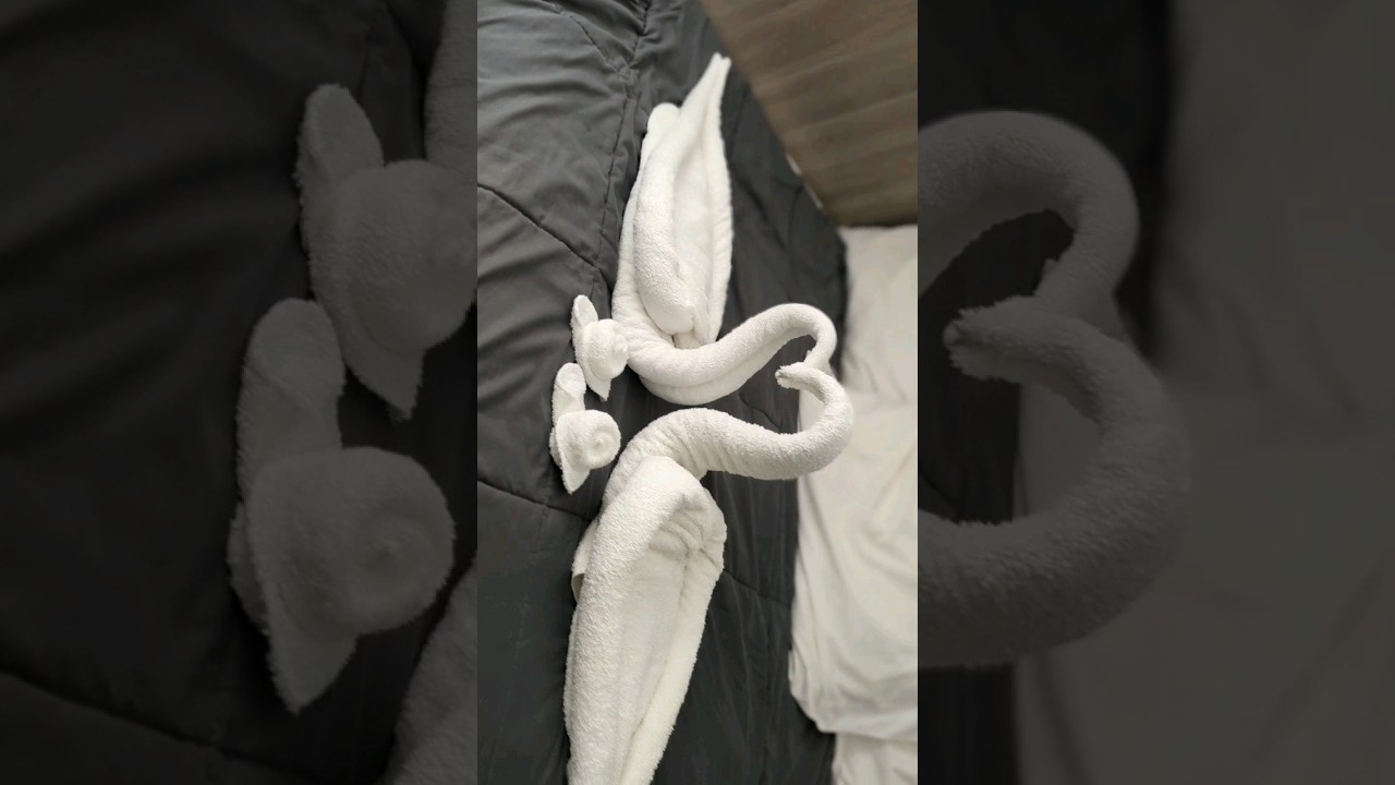 Easy Swan Towel Folding Beginner friendly tachniq #shorts