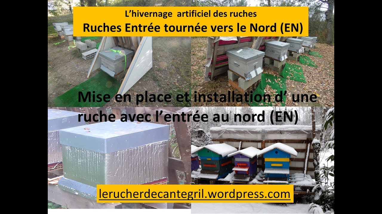 Hivernage artificiel  : Mise en place d'une Ruche Entrée tournée vers le Nord