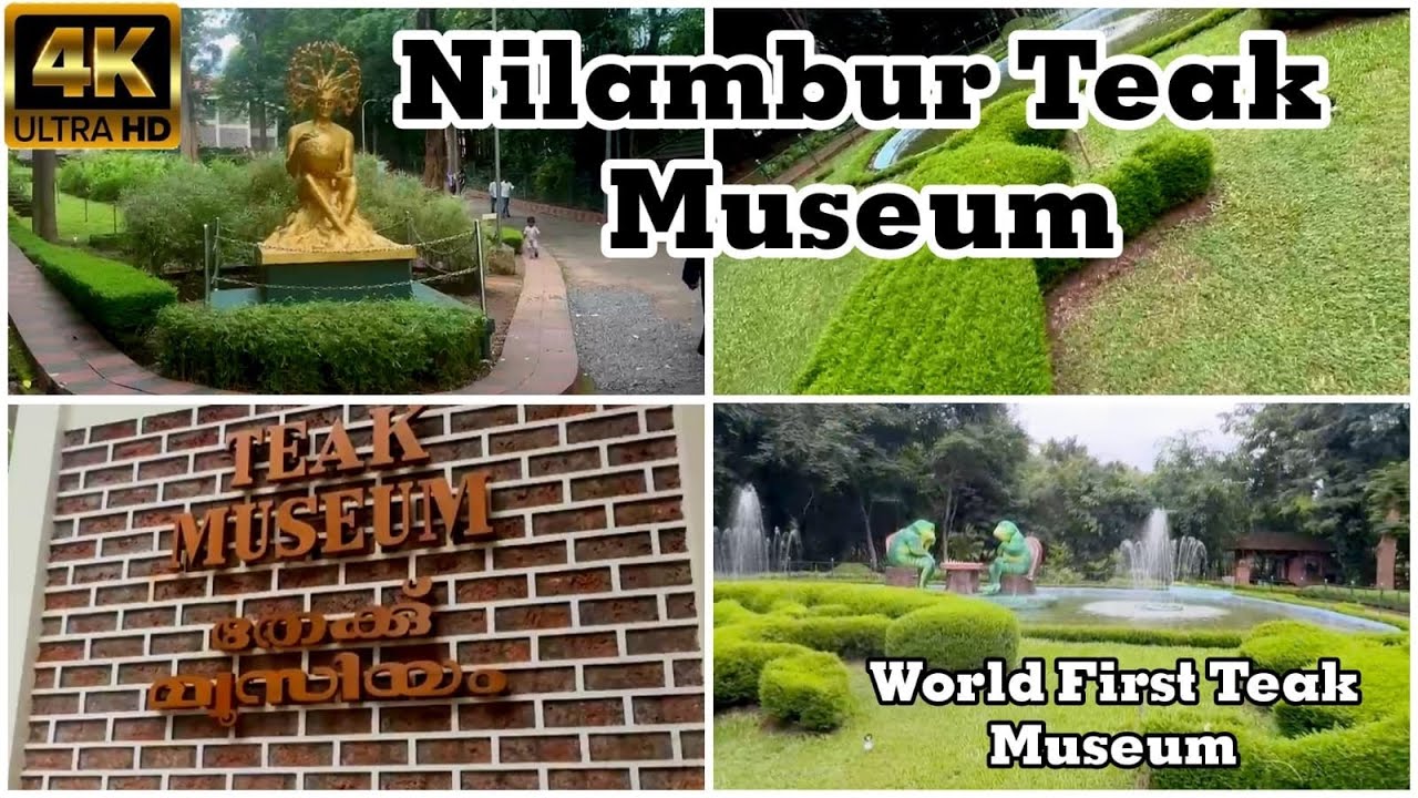 💯ലോകത്തിലെ ആദ്യത്തെ തേക്ക്‌മ്യൂസിയം കണ്ടാലോ👍 