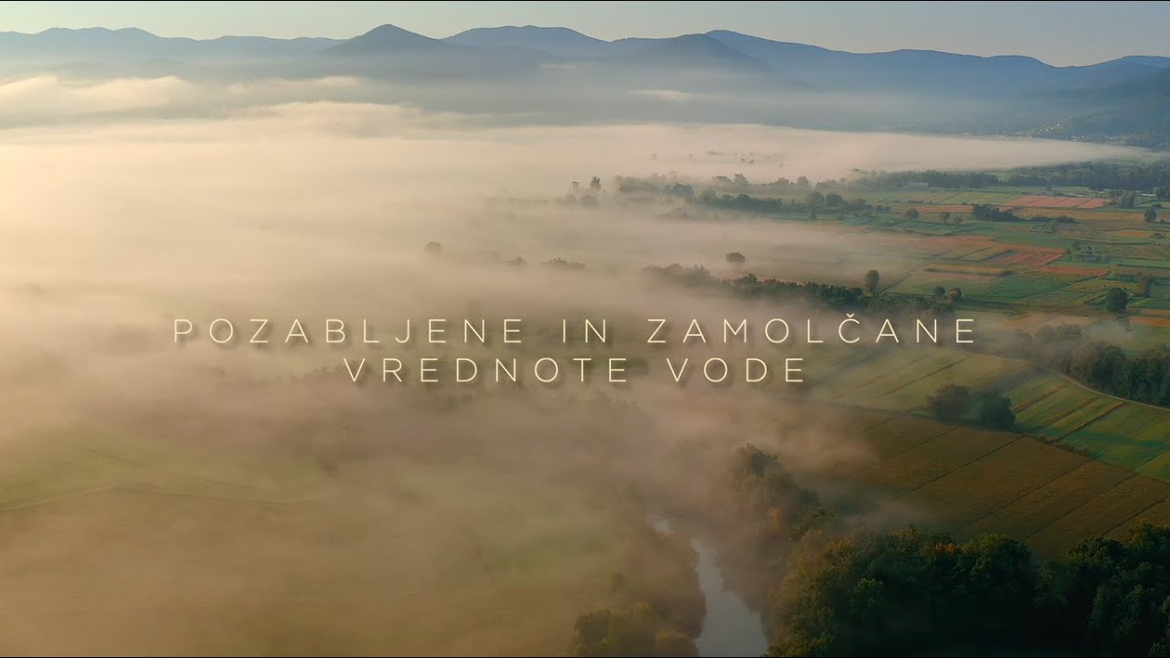 POZABLJENE IN ZAMOLČANE VREDNOTE VODE