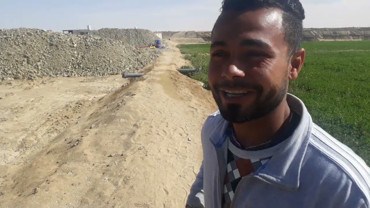 الوادي الجديد الفرافرة زراعة القمح