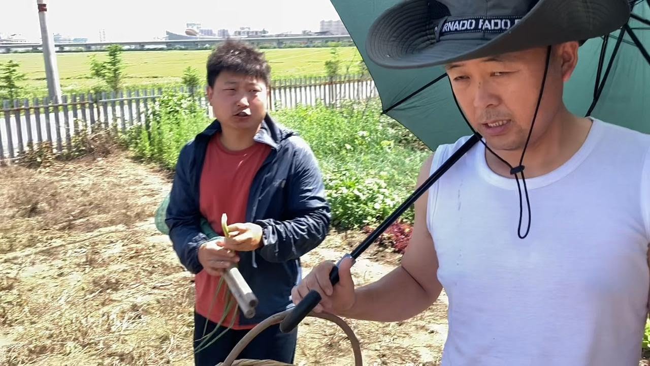 中朝边境农村，找邻居去河里抓鱼，时隔半个月鱼还真不少30多条鱼 【东北鸭蛋说白了】