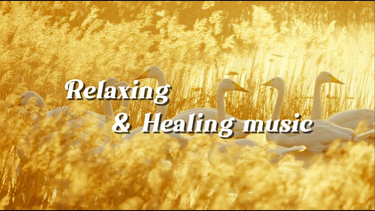 Relaxing Music for Sleep & Focus | Calm Your Mind, Study with Birds