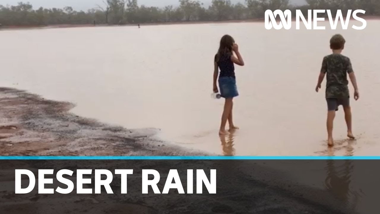 Flurry of excitement as central NT revels in recent rainfall | ABC News