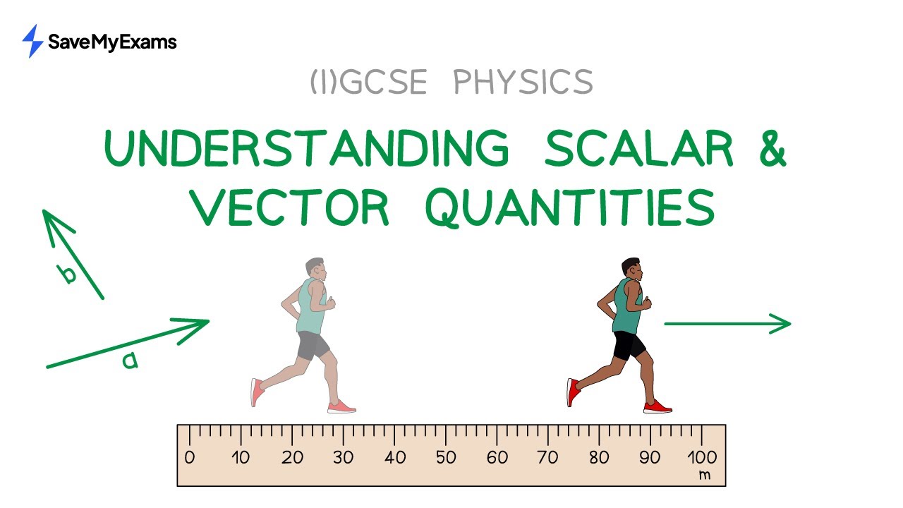 Understanding Scalar And Vector Quantities - IGCSE & GCSE Physics