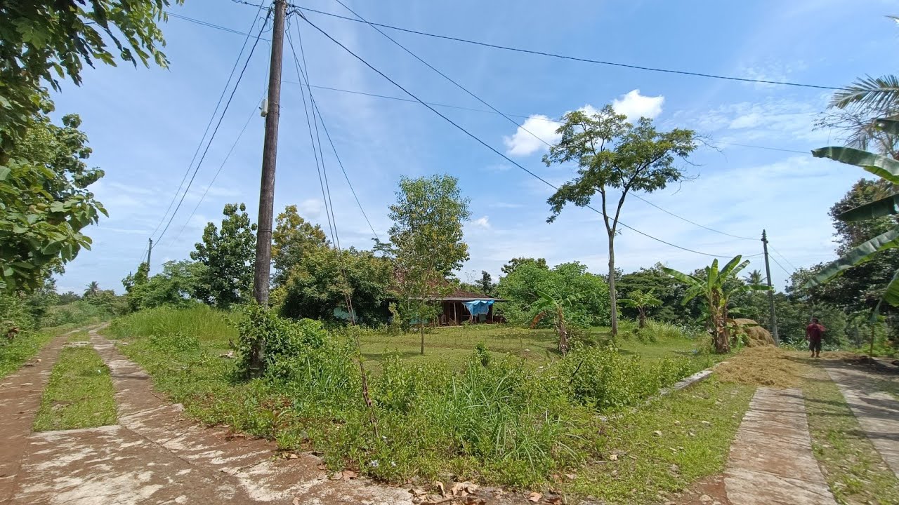 ❌TERJUAL❌Tanah plus rumah limasan ,lokasi strategis 2 muka jalan✅ #dijual SHMp 1.309m²