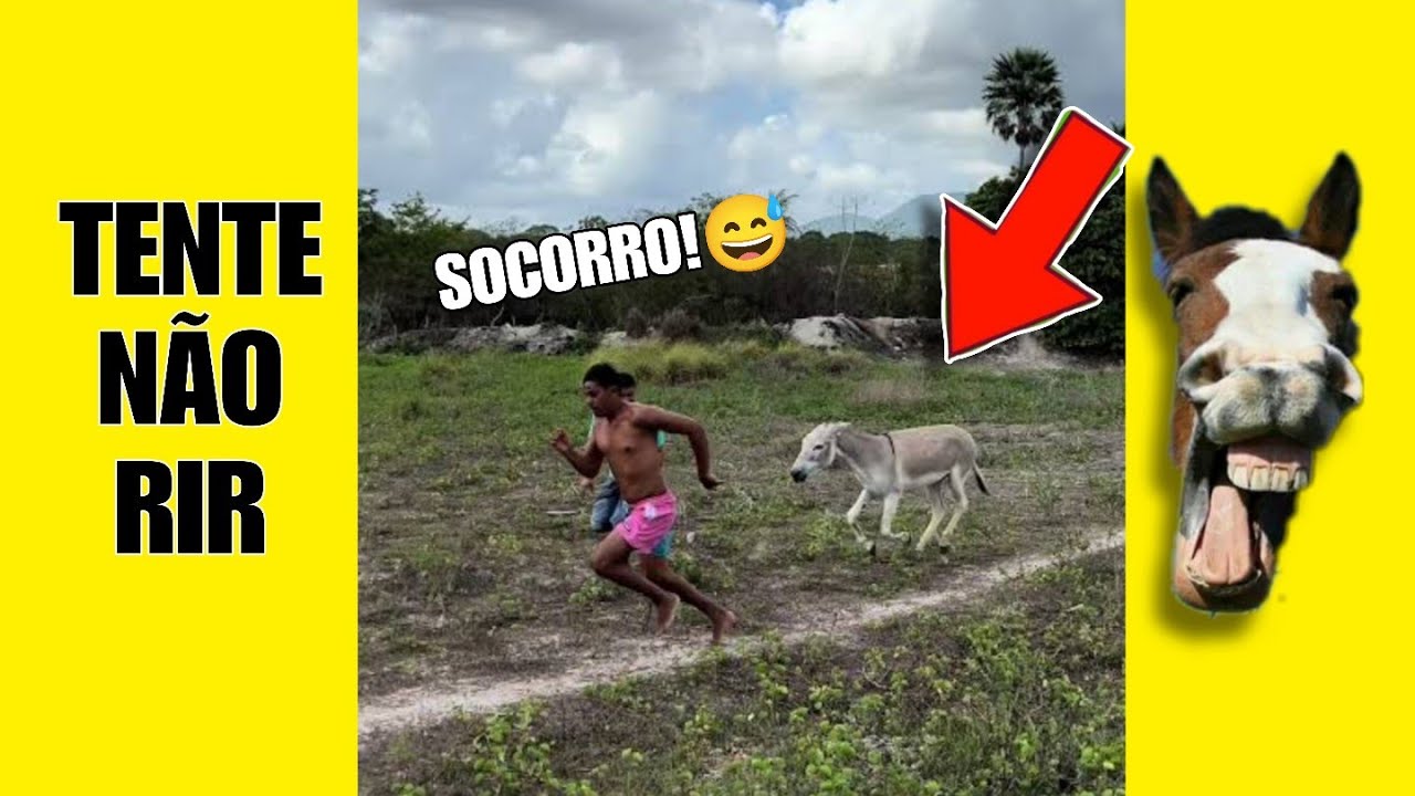 VÍDEOS ENGRAÇADOS 45: TENTE NÃO RIR #videosengracados #tentenaorir #humor #comedia #memes #tiktok 
