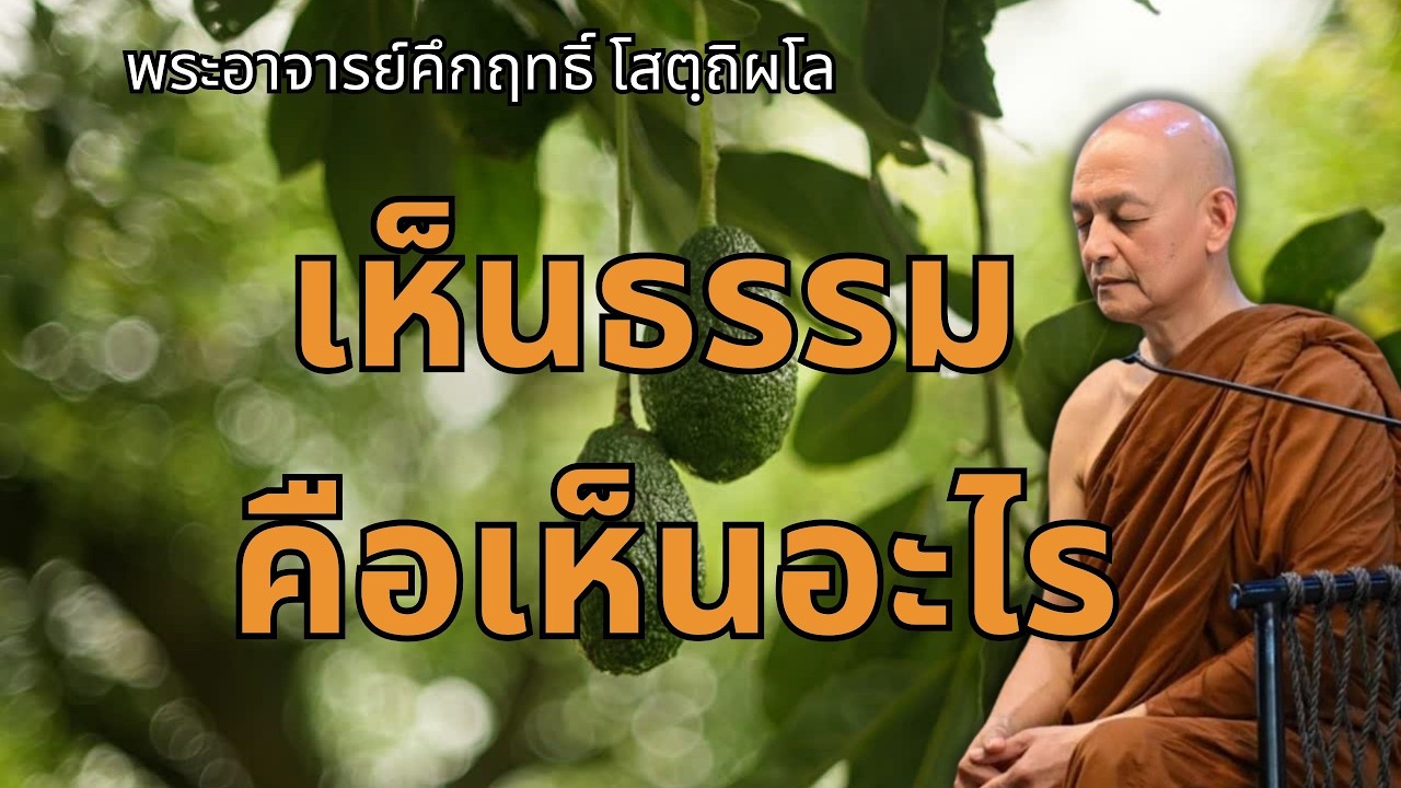 เห็นธรรม คือเห็นอะไร |พระอาจารย์คึกฤทธิ์ โสตถิผโล วัดนาป่าพง #พุทธวจน