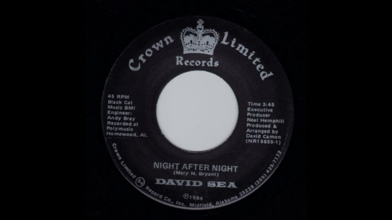 David Sea - Night After Night (Instrumental)