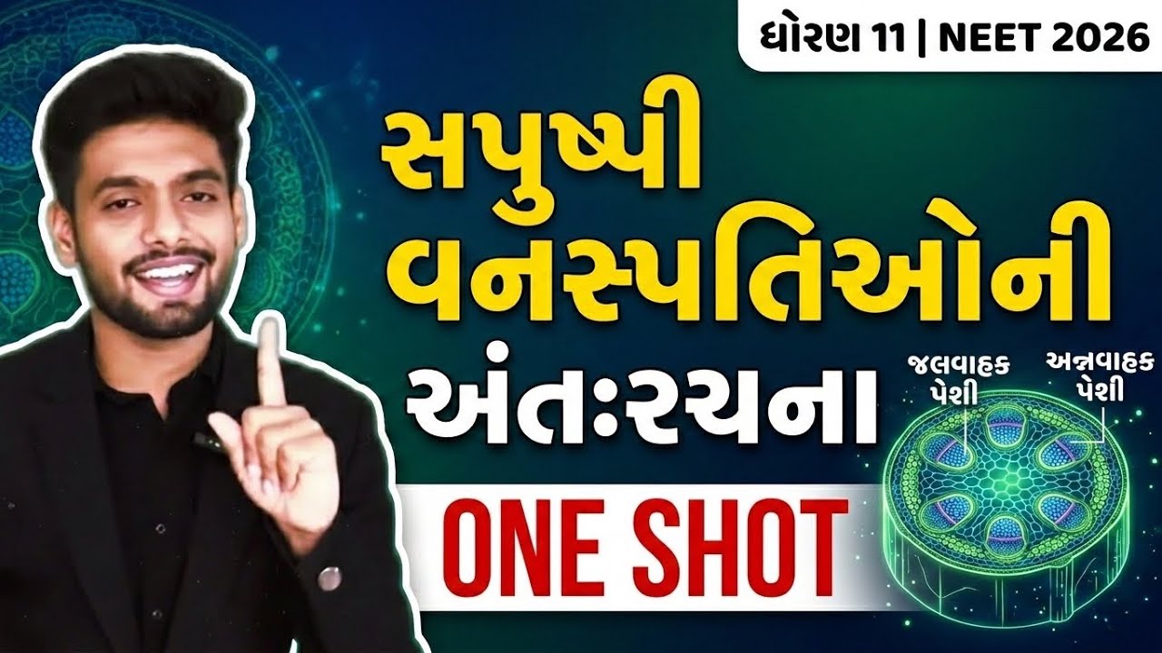 Class 11 Biology Chapter 6 Anatomy of Flowering Plants One Shot | Gujarati Medium | GSEB + NEET 2026